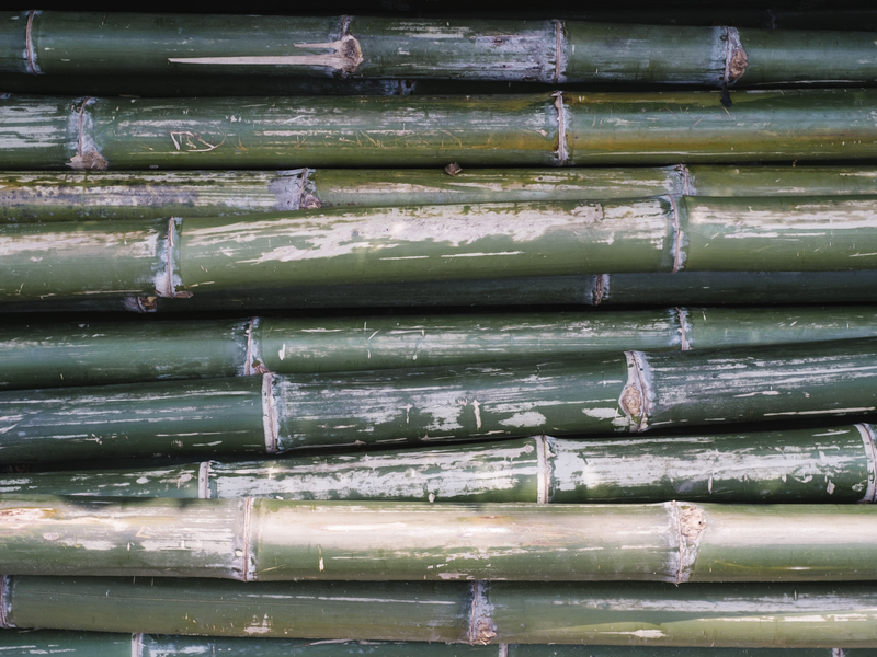 cara memulai usaha irat bambu