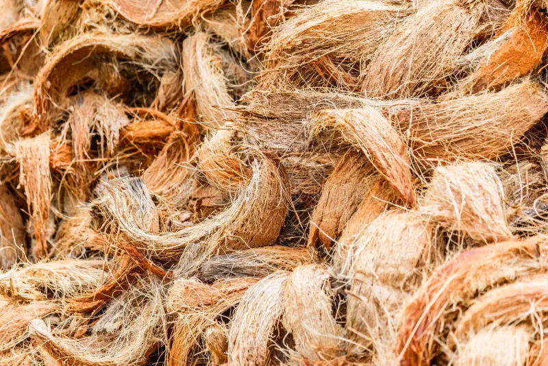 Solusi Ramah Lingkungan Sabut