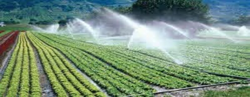 Proses Irigasi Sawah Modern Efisien